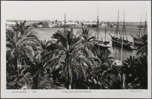 0000097019 - Alicante