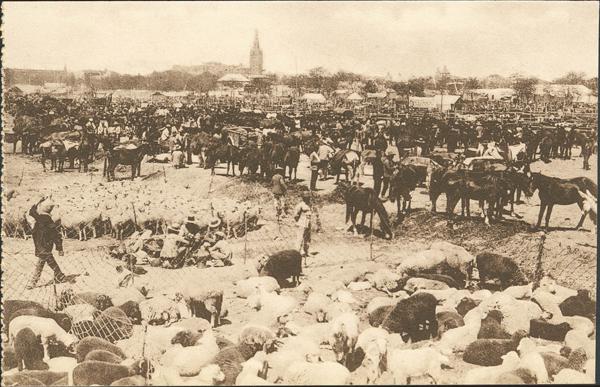 0000100183 - Sevilla