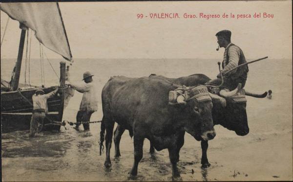 0000100371 - Valencia