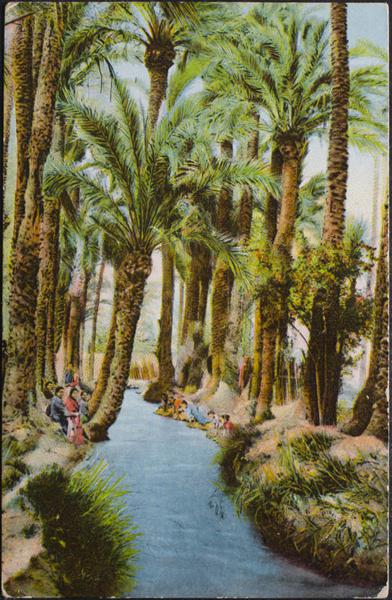 0000100384 - Alicante