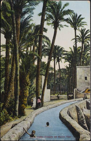 0000100387 - Alicante