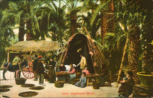 0000100391 - Alicante