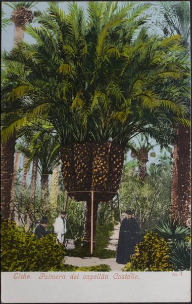 0000100393 - Alicante