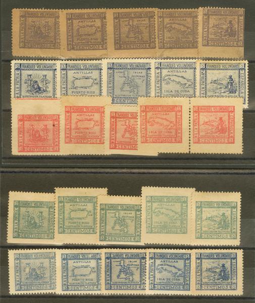 0000100867 - Other sections. Vignette