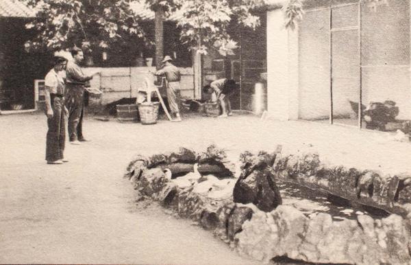 0000110693 - Zona Nacional. Postal Nacional