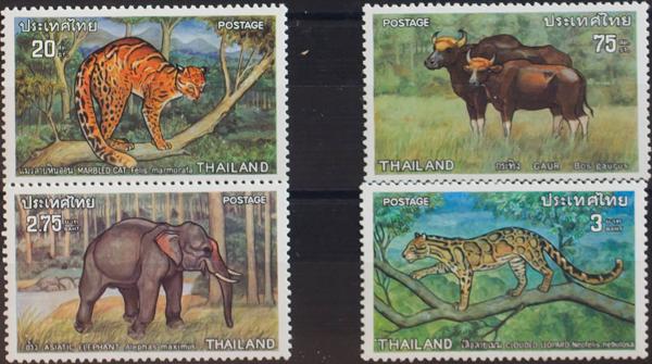 0000057499 - Tailandia