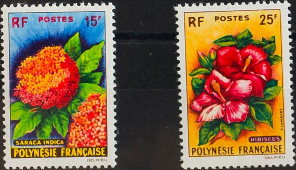 0000059872 - Polinesia