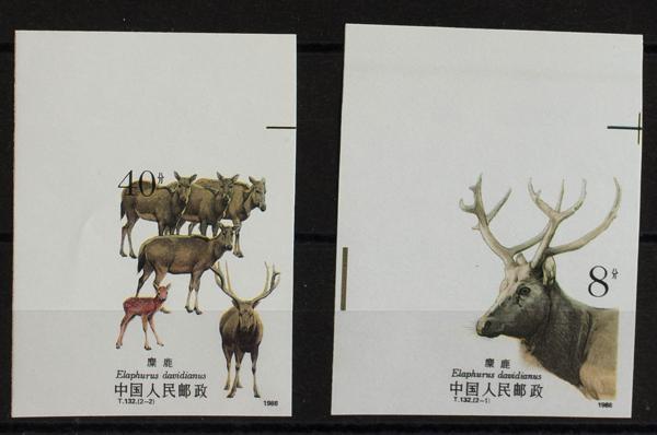0000073162 - China