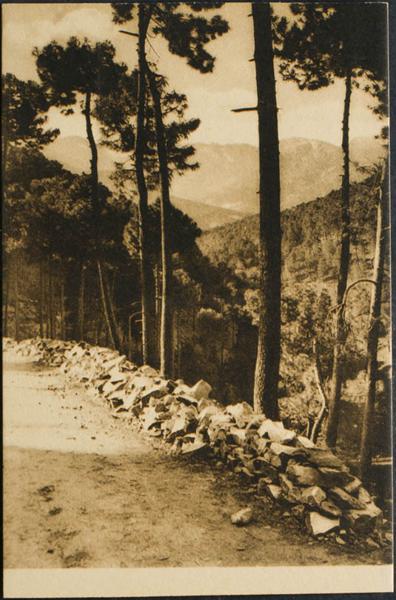 0000096879 - Avila