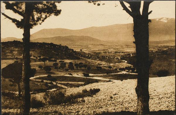 0000098597 - Avila