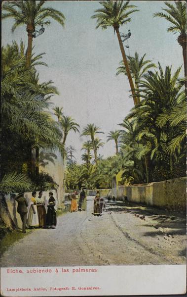 0000100396 - Alicante